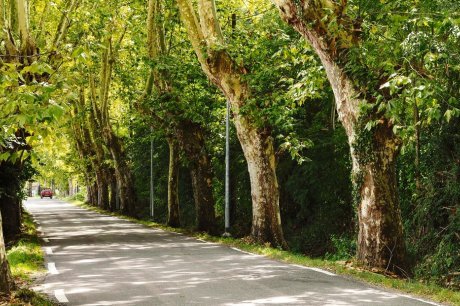 ferme-saint-joseph » La Loupiote – Légumes Bio 64 – Agriculture ...